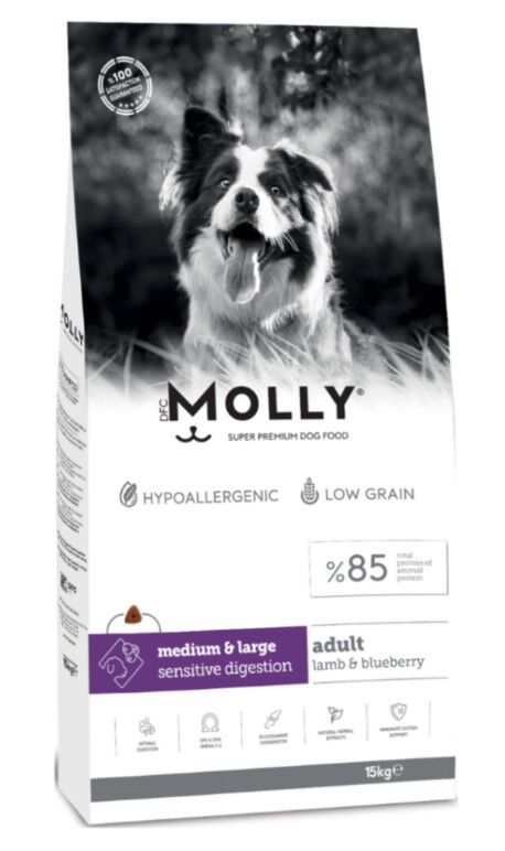 Molly Medium Large Adult Kuzu Etli Yaban Mersinli Yetişkin Köpek Maması 2 Kg