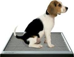 Ugodog Köpek Seyyar Ev Tuvaleti 47cm x 67 cm