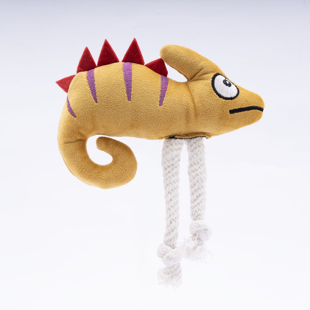 Rango El Yapımı Yavru ve Yetişkin Köpek Oyuncağı 20 CM