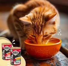 Voskes 5 Çeşit Biftek Somon Tavuk Ton Balıklı Yavru Kedi Çorbası 5 x 135 ML