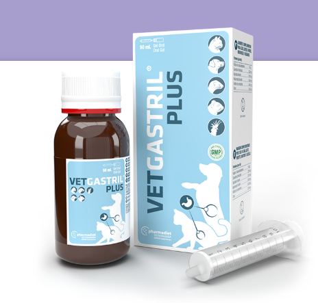 Vet Gastril Plus 20ml