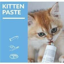Gimcat Kitten Paste Yavru Kediler İçin Vitamin Macunu Pasta 50 gr